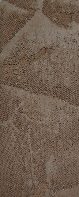 Special textures — catalogue reference C43-06