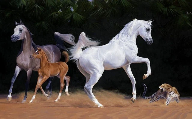 Murals — catalogue reference C33-01
