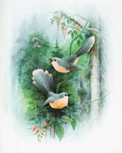 Botanical bird painting