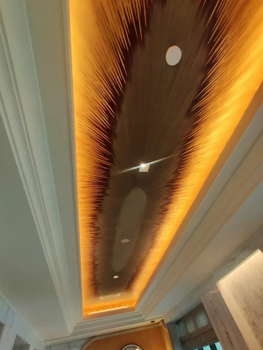 Ceilings — catalogue reference C18-02
